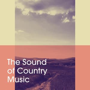 The Sound of Country Music - Country Rock Party