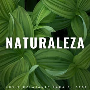 Naturaleza: Lluvia Relajante Para El Bebé - Llovido