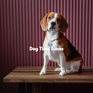 Dog Time Tunes - Dog Jazz Music