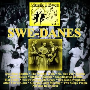 Musik i byen Vol. 5 - Swe-Danes