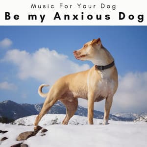 2 0 2 3 Be my Anxious Dog - Music For Your Dog