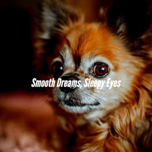 Smooth Dreams, Sleepy Eyes - Music for Dogs Background Music