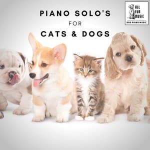Piano Solo's for Cats & Dogs - Jingle Cats