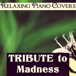 Tribute to Madness - Relaxing Piano Covers