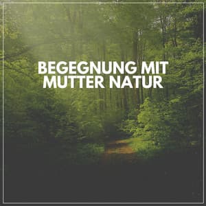 Begegnung Mit Mutter Natur - Naturgeräusche
