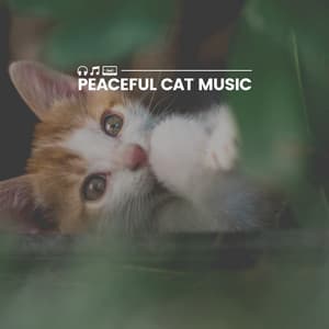 Peaceful Cat Music - Music for Cats Peace