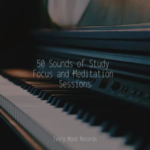 50 Sounds of Study Focus and Meditation Sessions - Ivory Mood
