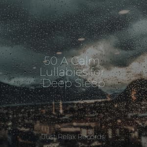 50 A Calm Lullabies for Deep Sleep - Meditation Spa
