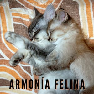 Armonía Felina: Susurros Salvajes - Música tranquila del domingo por la mañana