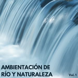 Ambientación De Río Y Naturaleza Vol. 1 - Sonidos de la Naturaleza Ruido