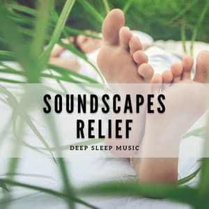 Soundscapes Relief - Deep Sleep Music - Sleep Songs Divine