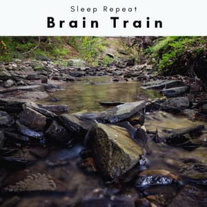 1 Brain Train - Sleep Repeat