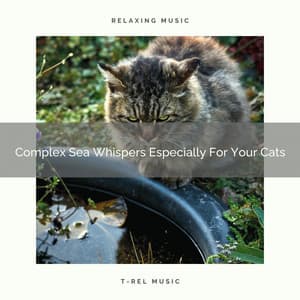 Complex Sea Whispers Especially For Your Cats - Pets Relax