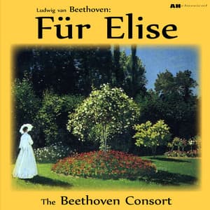 Beethoven: Fur Elise - Beethoven Consort
