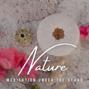 Meditation Under the Stars: Cosmic Serenity - Zen Master