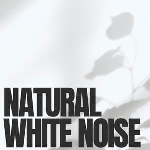 Natural White Noise - Sounds of Nature Noise