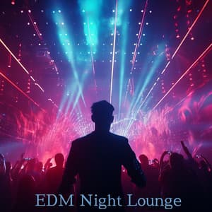 Electrix: EDM Night Lounge, Electronic Chillout Playlist - Dj Dimension EDM