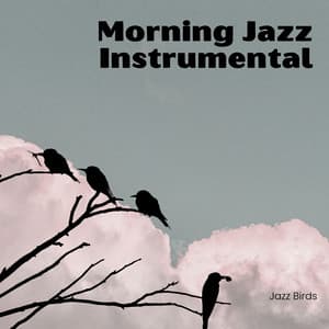 College Years - The Mango Quartet