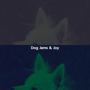 Dog Jams & Joy - After Work Chill Out