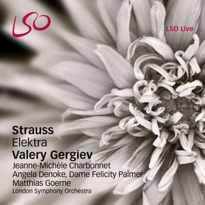 Strauss: Elektra - Richard Strauss