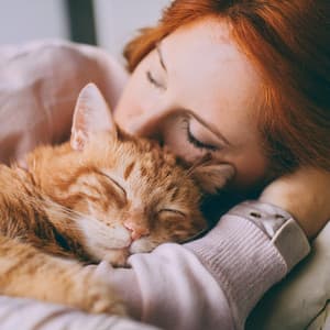 Acordes Ronroneantes: Música Para Gatos - Jardín Sonoro