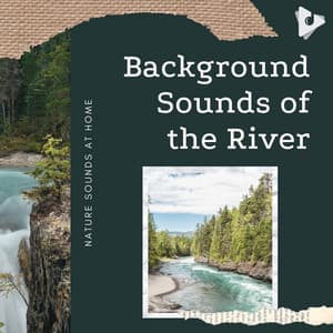 Background Sounds of the River - Nature Sounds At Home