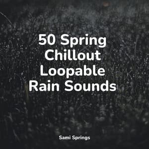50 Spring Chillout Loopable Rain Sounds - Sleep Sounds of Nature