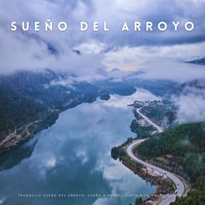 Tranquilo Sueño Del Arroyo: Sueño Binaural Junto A La Orilla Del Agua - Investigación de ritmos binaurales
