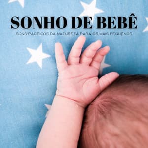 Sonho De Bebê: Sons Pacíficos Da Natureza Para Os Mais Pequenos - Musica Clasica para Bebes Orchestra