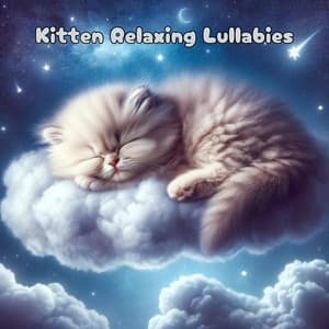 Kitten Relaxing Lullabies: Sleep Pet Therapy Music, Soothing Music & Comfortable Sleep - Pet Music Academy