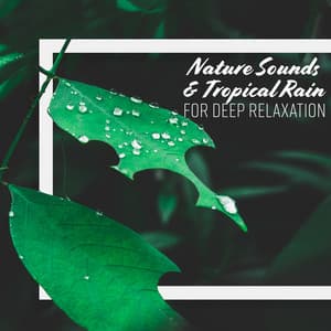 Nature Sounds & Tropical Rain for Deep Relaxation - Natural Zen Meditation White Noise