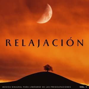 Relajación: Música Binaural Para Liberarse De Las Preocupaciones Vol. 1 - Binaural late puro