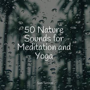 50 Nature Sounds for Meditation and Yoga - Gentle Rain Makers
