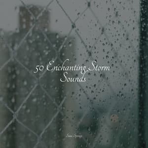 50 Enchanting Storm Sounds - Heavy Rain Sounds