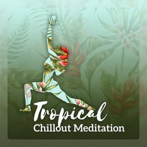 Tropical Chillout Meditation - Astral Drift Lounge Bar, Hypnotic Electronic Mantras, Exotic Yoga Visualization, Vibes of Buddha - Beach House Chillout Music Academy