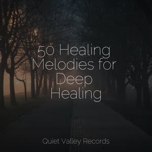 50 Healing Melodies for Deep Healing - White Noise for Deeper Sleep