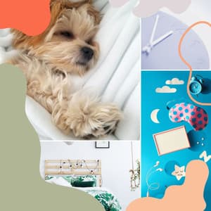 Amazing Background Music for ASMR Sleep - Afternoon Recharge