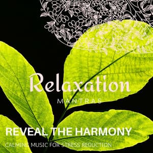 Reveal the Harmony - Calming Music for Stress Reduction - Zen Healing Melodies