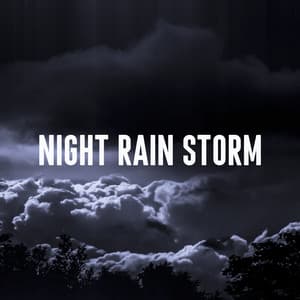 Night Rain Storm - Nature Sounds Lab