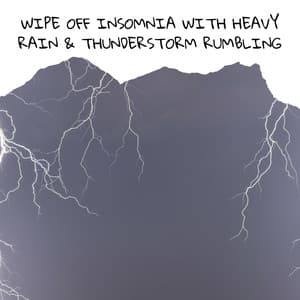 Wipe Off Insomnia with Heavy Rain & Thunderstorm Rumbling , Loopable - Thunderstorm Channel