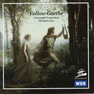 Follow Goethe - Michael Gees