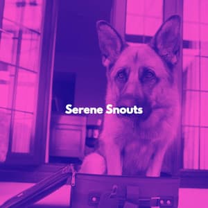 Serene Snouts - Chilled Morning Music