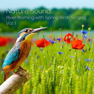 Nature Sound: River Morning with Spring Birds Singing Vol. 1 - Calm Pets Music Academy