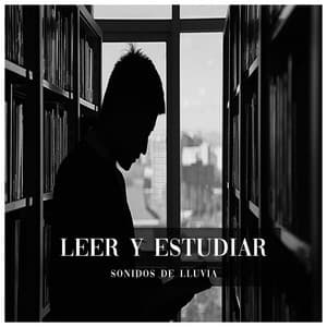 Sonidos de Lluvia para Leer y Estudiar - Barulho de Chuva para Estudar
