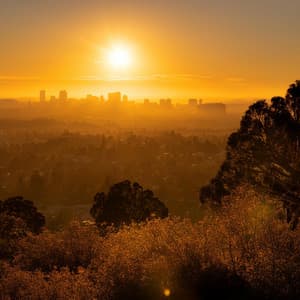 Viajes Musicales De Guitarra: Caminos Melódicos A Través Del Sonido - Cartera de ante