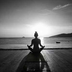 Armonía En Meditación: Música Para Reflexionar - Curación manifiesta de energía en órbita de 741 Hz