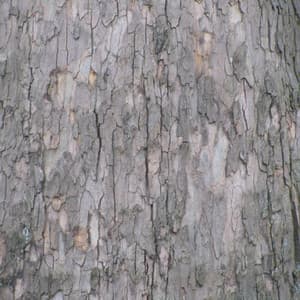 Book of Changes, Vol. 2 - Yin And Yang