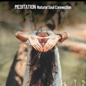 Meditation: Natural Soul Connection, into the wild - Amazing Spa Music