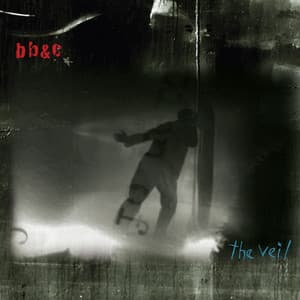 The Veil - Nels Cline