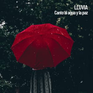Lluvia: Canto al agua y la paz - The Rain Library